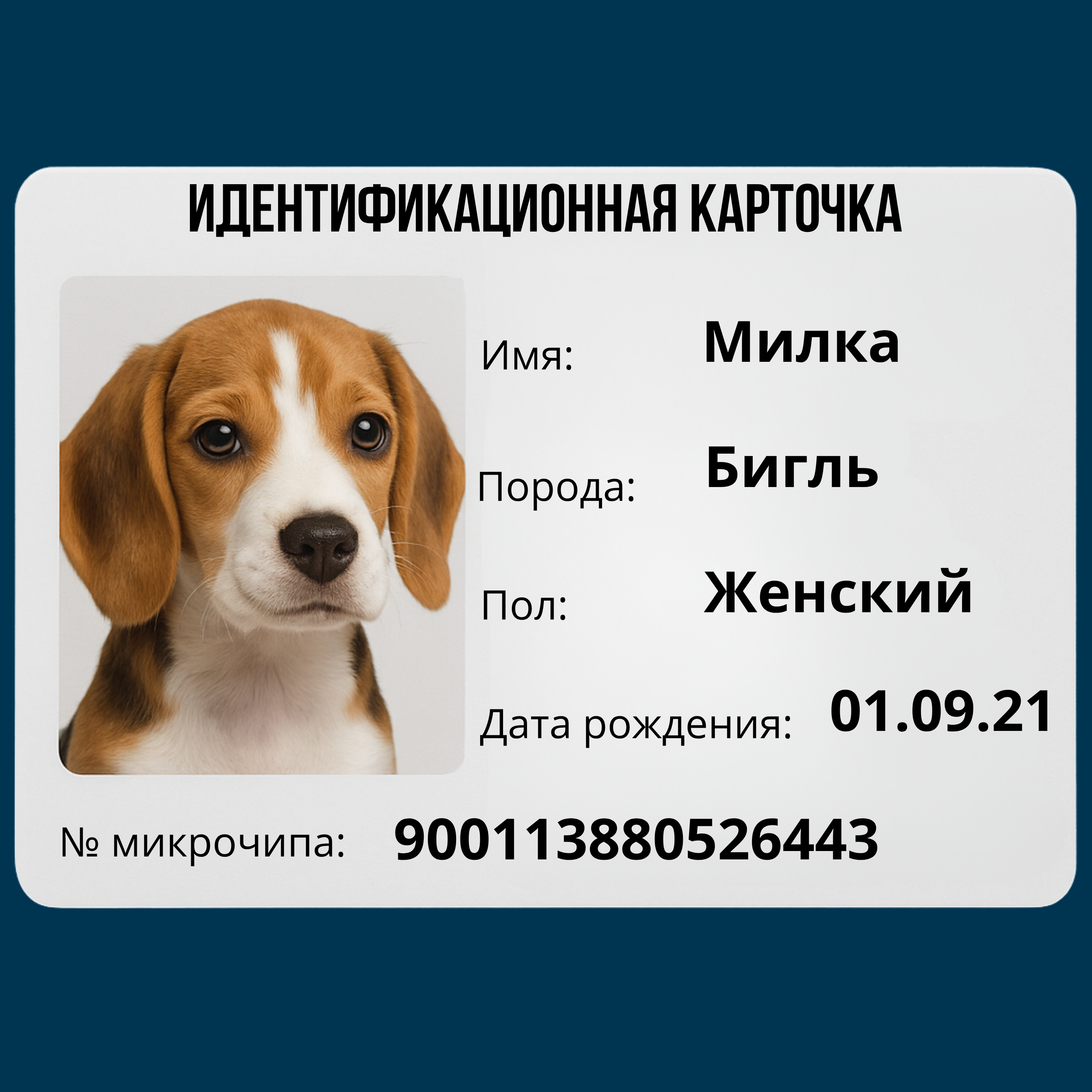 Тест картинкой документ