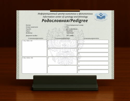 род кошка
